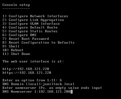 Truenas setup DNS setting