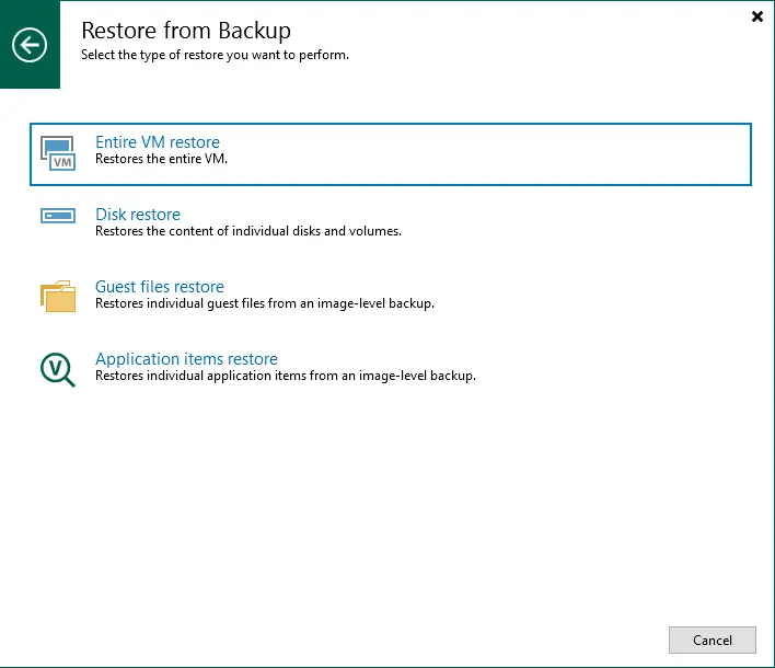 Type of restore Veeam