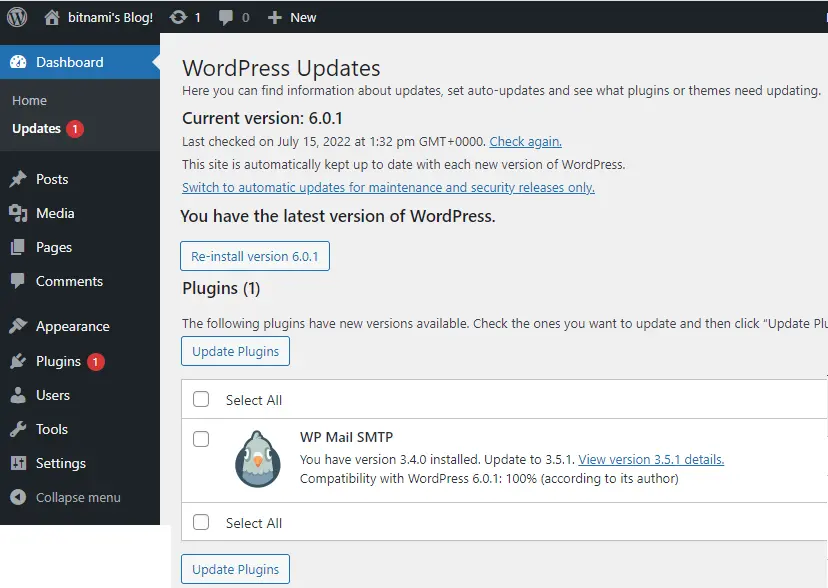 Update WordPress