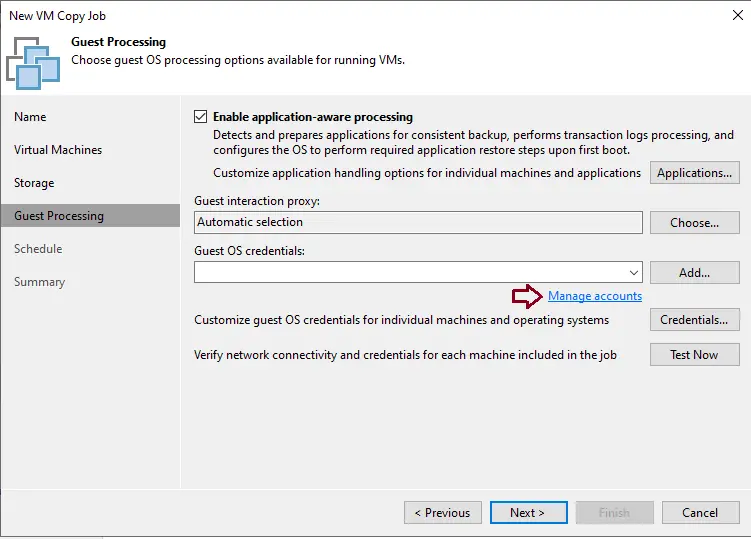 VM copy job guest processing