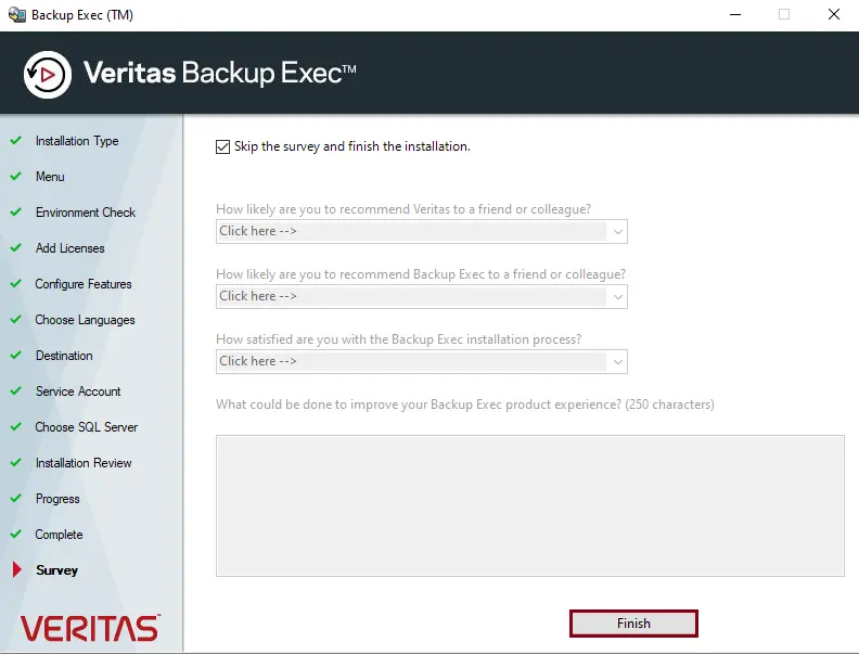 Veritas Backup Exec survey