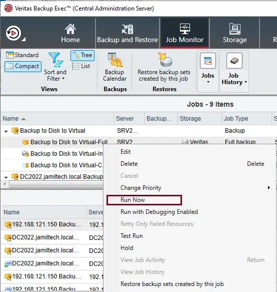 Veritas backup job run now