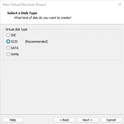 Virtual disk type VM