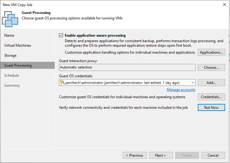 Virtual machine copy job guest processing