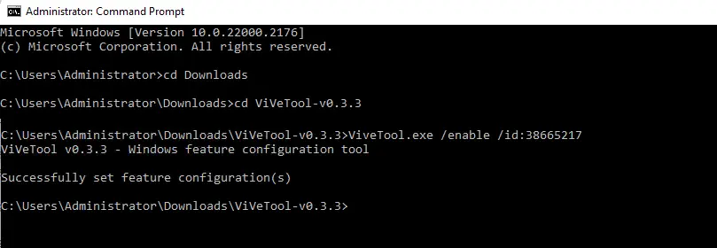 ViveTool.exe /enable /id: command