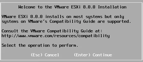Welcome to the VMware ESXi 8.0