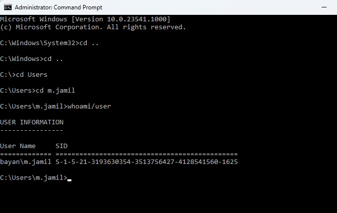 Whoami/user command prompt