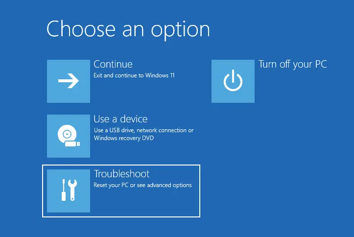 Windows 11 advanced options