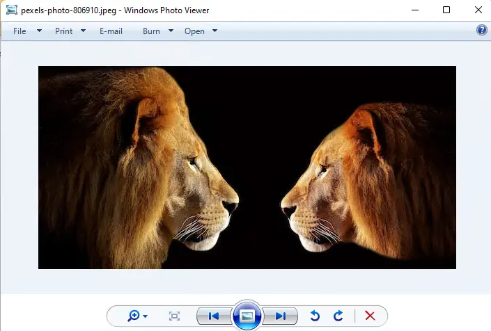 Windows 7 Photo Viewer