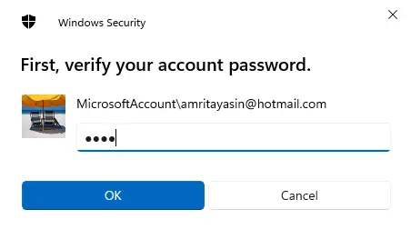 Windows-security-verify-your-account-password-1