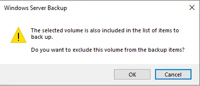 Windows server backup exclude volume