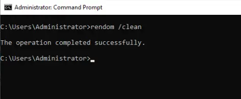 rendom /clean command