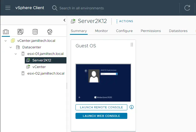 vSphere client