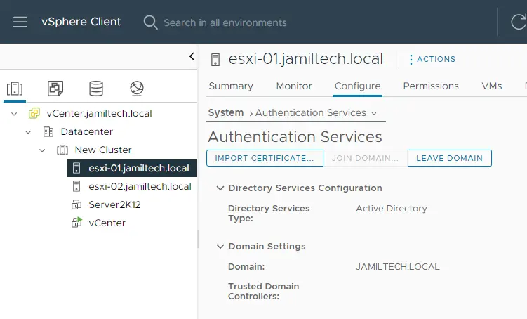 vSphere client directory services configuration